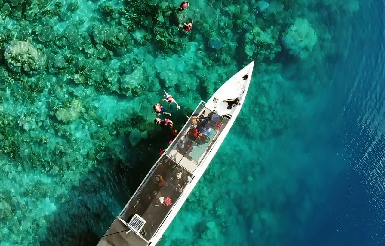 Karimun Jawa Dimana? Ini Lokasi, Cara ke Sana, dan Tips Liburan Lengkap