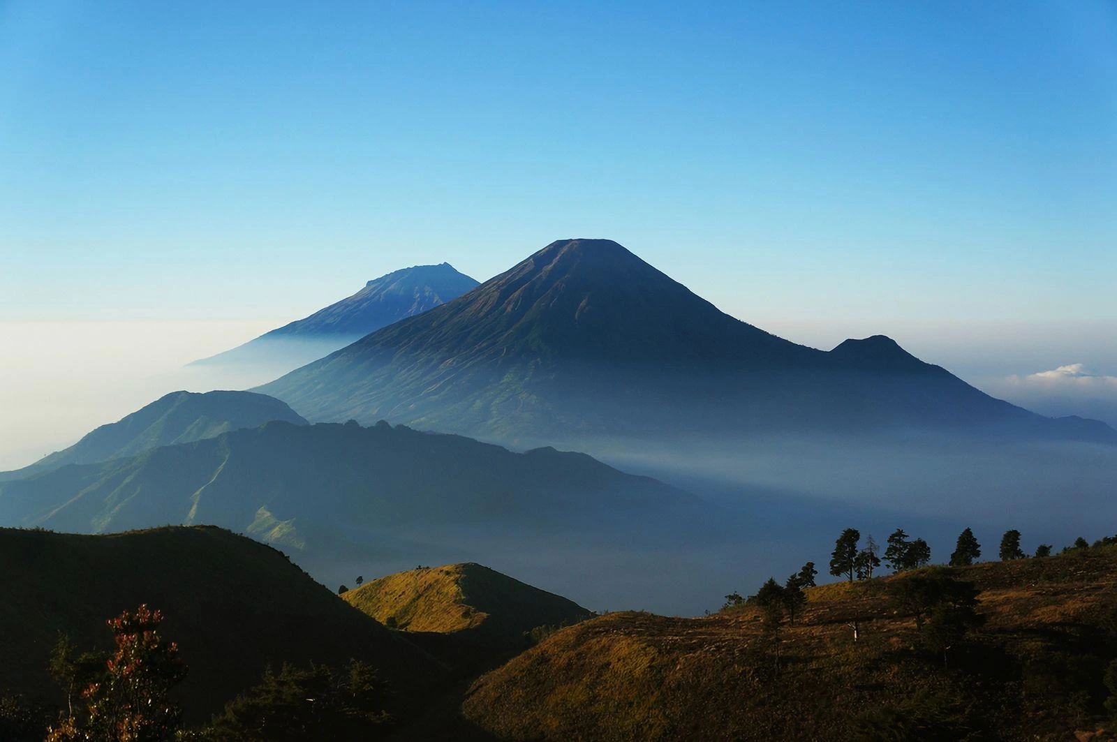 prau